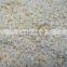 2022 A grade Fresh Natural Garlic granules