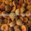 High quality New crop high quality IQF apricot half