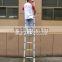 EMJ Ladder 3.2m Foldable ladder super ladder Telescopic ladder
