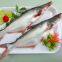 Whole frozen pangasius for export