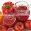 Machine pour faire de la confiture de mangue/pomme/fraise/tomate de la meilleure qualité