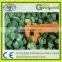 okra processing machine frozen vegetables production line