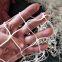 Custom Fine 210D /2 PLY -210D / 150 PLY 400 MD - 1000MD Khon Kaen Multifilament Trawl Nylon Fishing Net für Meer und Fluss