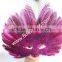 Natural Craft Peacock Feather Venetian And Party Mask