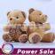 Customized Soft PP Cotton Filling Toy High Quality Plush Bear