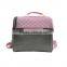 New arrival disposable cooler bag for frozen food