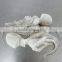Frozen Baby Octopus Good Manufacturer