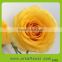 2016 new product crazy selling wide varieties fresh rose