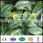 wholesale outdoor artificial privacy hedge fence screens