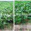 New type of flower plant vines frame bracket