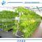 Film High Quality Anti-UV Stronge Frame Greenhouse