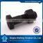 China quality many kinds of fastenes excellent manufacturer and supplier pivot bolt