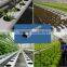 Saving water with NFT Hydroponic System for Tropical and Desertic Areas