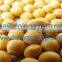 2016 new type soybean oil press machine