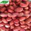 sea flower peanuts kernel