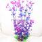 Colorful aquairum mini plant