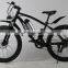 custom 500watt electric bike fat