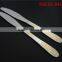 DS-8459 hot sale with attractive stainless steel cutlery set