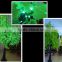 Outdoor LED christmas ginkgo Tree light