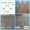 Bird Cage Mesh /Galvanized Hexagonal Wire Netting
