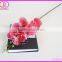 wholesale real touch artificial orchid flowers