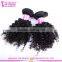 High quality peruvian hair weft tangle free shedding free wholesale pure kinky curly 14 inch peruvian hair