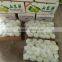 2016 new crop shandong pear for indan market