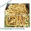 2015 New Crop Galangal Roots