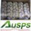 china fresh good quality natural garlic wholesale price