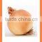 Export Fresh new crop red yellow onion