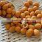 High Quality Wholesale Roasted Peanuts Flavored Coated Peanuts