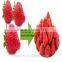 healthy natural strawberry chips frozen fruits