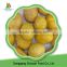 High quality best price new crop sweet frozen chedtnuts