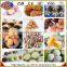 Pastry machine|Multifunctional Encrusting machine
