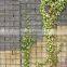 2*1*0.3m galfan Gabion Mesh factory