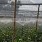 Metal sprinkler lawn sprinkler for irrigation