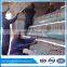  Gold Supplier cage for poultry chicken houses