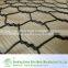 anping hexagonal mesh/hexagonal plastic mesh
