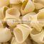 China Small Scale Industrial Pasta Noodles Machine Pasta Macaroni