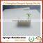 Eco-friendly Healthy Life Balcony moisture retain growing sponge