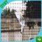 Plastic Anti Bird Net/Capture Bird Net/Agriculture Bird Net
