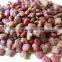 Veterinary Clinic dry pet food dog food