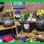 new wooden flower pot, outdoor wooden flower planter