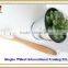 High quality fashion environmental pure bamboo toothbrush for kids