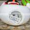 Polyresin Christmas Snow globe Snowman Snow globe with Music Box