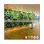 Wholesale artificial plastic green wall plants with garden vertical system green wall hanging artificial flowers for decoration