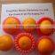 Customized OEM Apple Melon Pear Fruit Protection Net on Sale