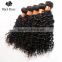 Black Rose Fast Shipping Human Hair Dubai, Virgin Brazilian Human Remy Hair Extensions