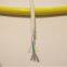 Multi-purpose For Tank 20 Bar W.p Rov Tether Cable