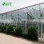 Greenhouse Construction In China For Orchid